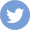 tweeter_icon